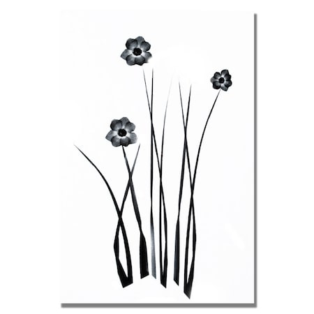 Kathie McCurdy 'White And Black Bunch' Canvas Art,35x47